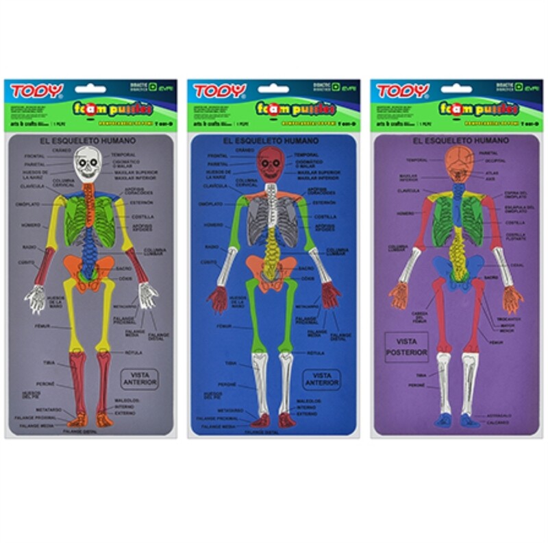 FOMI T031-D DIDACTICO ESQUELETO