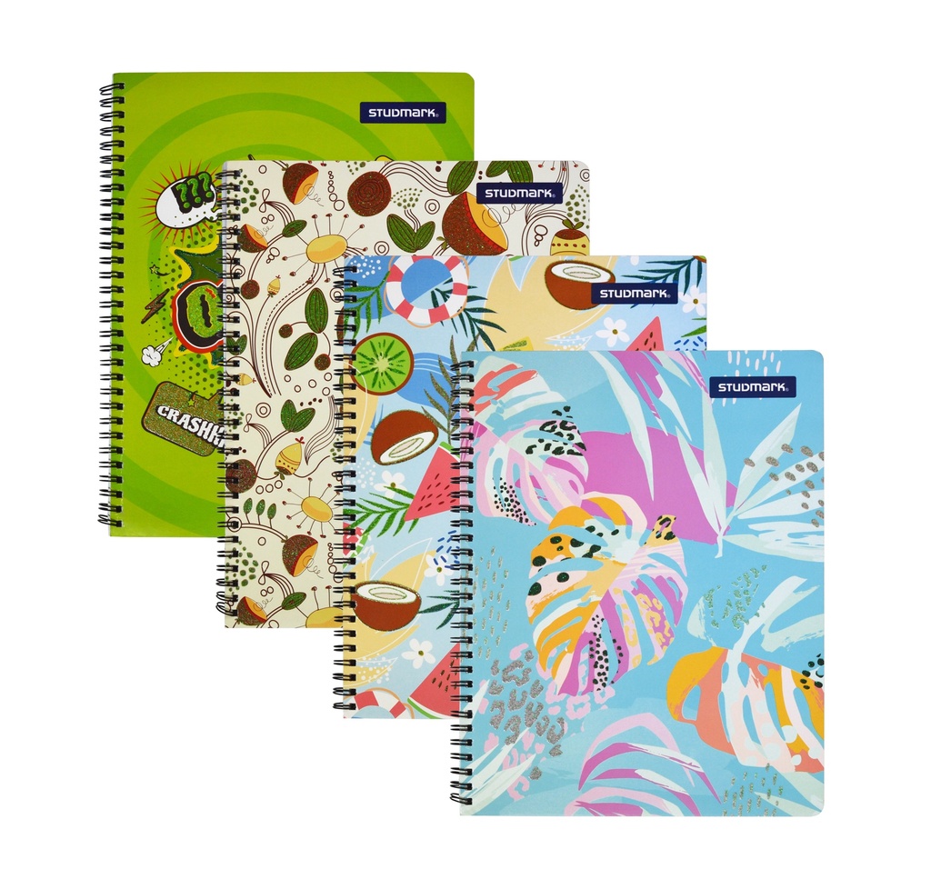 CUADERNO ST-BOOK-001 80HJS ESCARCHA 48x1