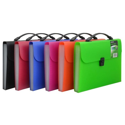 [02760           ] MALETIN ST00398 OF 13 DIV NEON                              