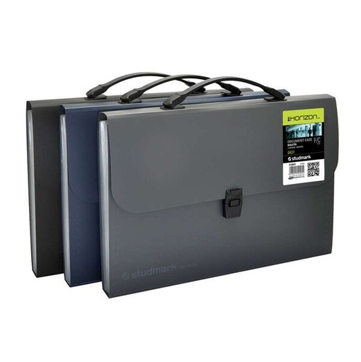 [03826           ] MALETIN ST00437 OF 13 DIV HOR                               