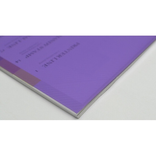 [02608] CUBIERTA ST-PP350-08 VI STRIPE